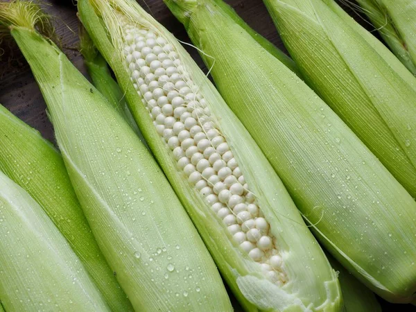 Korea Fresh Organic Corn Background — Stock Photo, Image