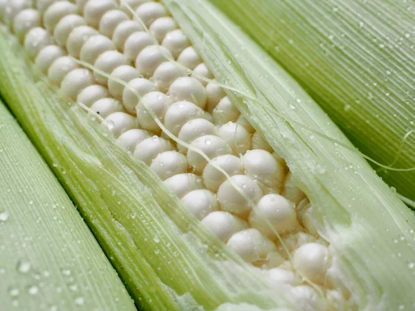 Korea Fresh Organic Corn Background — Stock Photo, Image