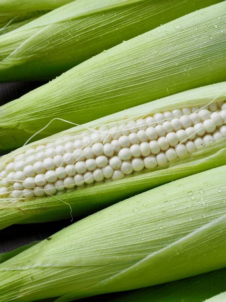 Korea Fresh Organic Corn Background — Stock Photo, Image