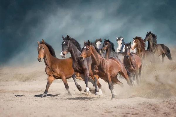 Manada Caballos Corre Libre Desierto Contra Cielo Tormenta —  Fotos de Stock