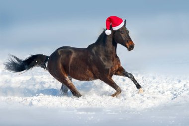At koşusu Noel Baba 'nın kırmızı şapkasıyla kar gününde