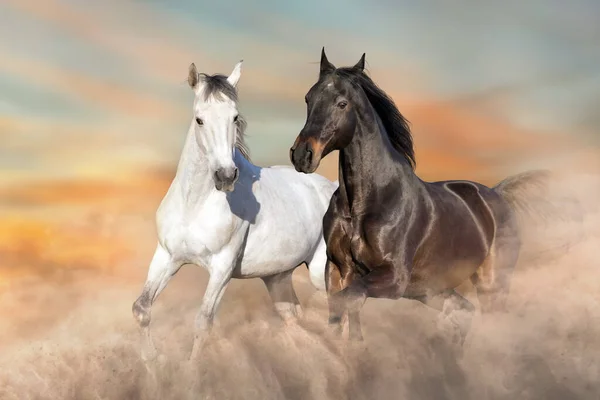 Manada Caballos Corre Libre Desierto Contra Cielo Tormenta — Foto de Stock