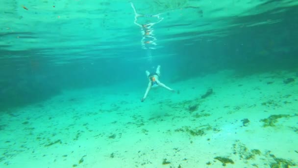 Mergulho bonito menina snorkeling em Crystal River, Florida — Vídeo de Stock