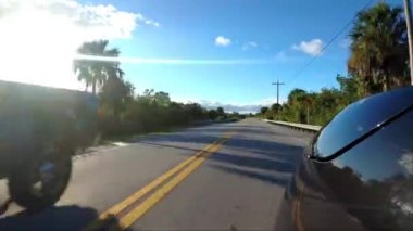 Everglades - Florida Yolu 'nda bir yolda ilerlerken...