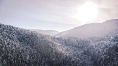 Ukrayna, karlı Karpatlar, hava fotoğrafçılığı.