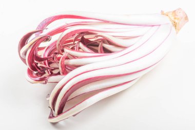 Radicchio Cichorium intybus Asteraceae tipik İtalyan yemekleri