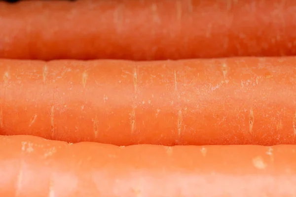three carrots, macro photography close up