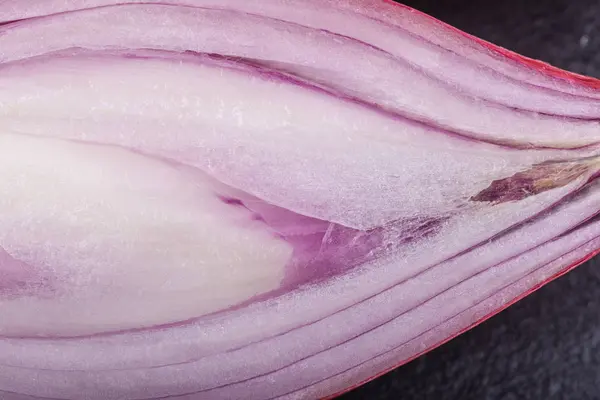 A shallot cut in half photographed closely — 스톡 사진