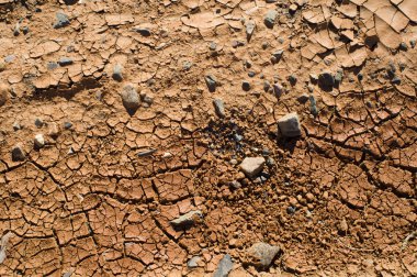 aşınmış toprak, kurumuş ve zehirlenmiş.