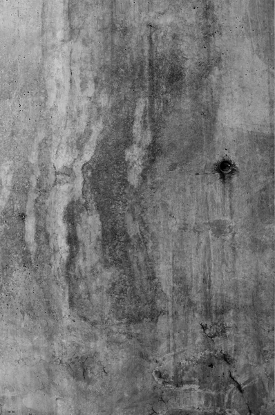 生のコンクリート表面の詳細ショット — ストック写真