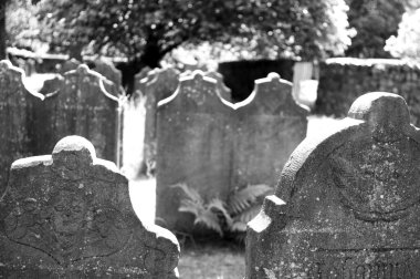 Terk edilmiş mezarlıkta eski mezar taşları