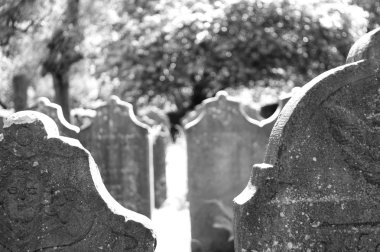 Terk edilmiş mezarlıkta eski mezar taşları