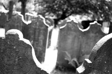 Terk edilmiş mezarlıkta eski mezar taşları