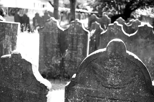 Old Gravestones Abandoned Cemetery — Stock Photo, Image