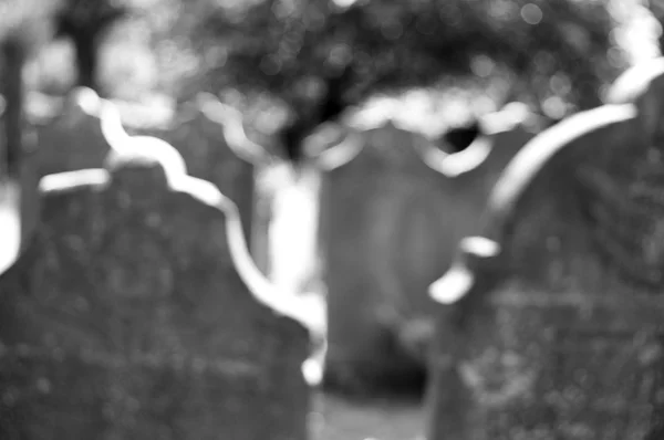 Vecchie Lapidi Sul Cimitero Abbandonato — Foto Stock