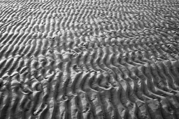 Abstract Patterns North Sea Watt Landscape — 스톡 사진