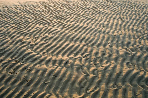 Abstrakte Muster Der Nordsee Watt Landschaft — Stockfoto