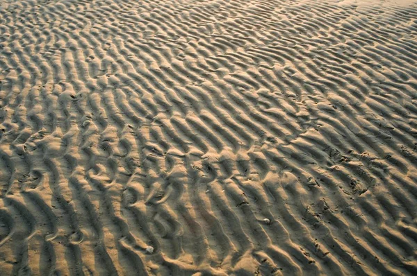 Modelli Astratti Nel Paesaggio Dei Watt Del Mare Del Nord — Foto Stock