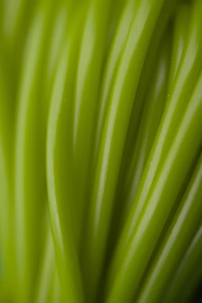 Abstract Detail Shot Colorful Plastic Tubes — Stock Photo, Image