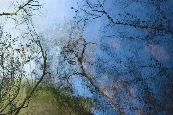 Reflection Forest Lake — Stock Photo, Image