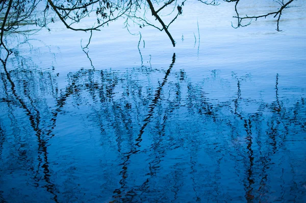 Riflessione Lago Foresta — Foto Stock