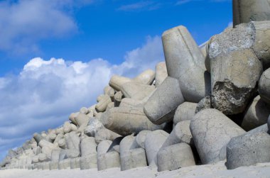 Beton yapılan büyük omurgalı 