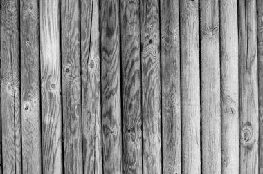 several uncoated wooden palisades