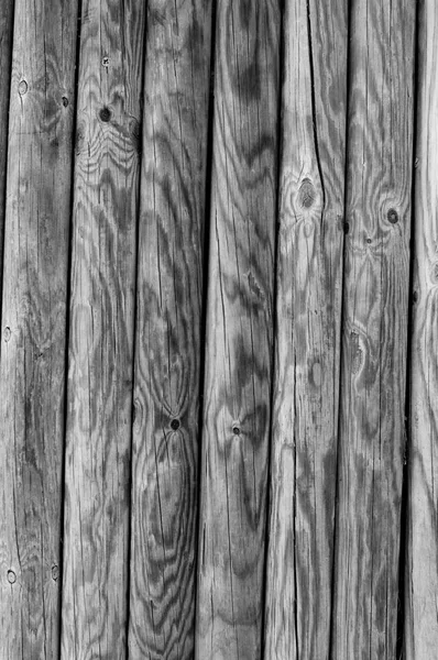 Several Uncoated Wooden Palisades — ストック写真