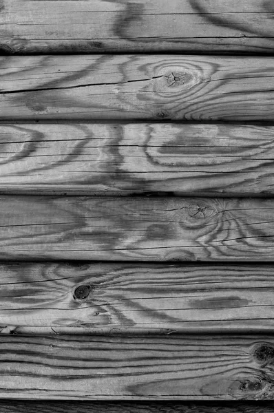 Several Uncoated Wooden Palisades — Stockfoto