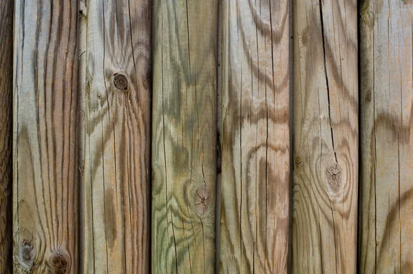 Several uncoated wooden palisades — Stock Image Several Uncoated Wooden Palisades Stock Photo