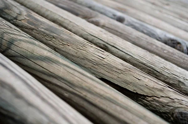 Several uncoated wooden palisades — Stock Image Several Uncoated Wooden Palisades Royalty Free Stock Images