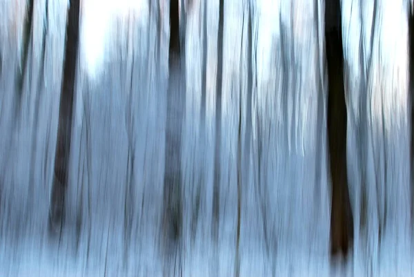 Soyut Rüya Gibi Orman Manzarası — Stok fotoğraf