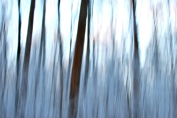Абстрактный Сказочный Лесной Пейзаж — стоковое фото
