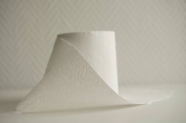 Roll Plain White Toilet Paper — Stock Photo, Image