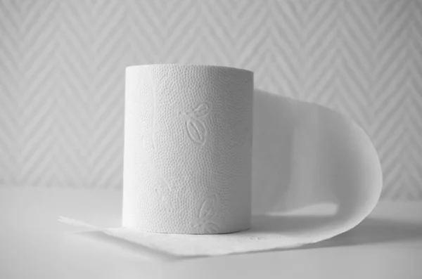 Roll Plain White Toilet Paper — Stock Photo, Image