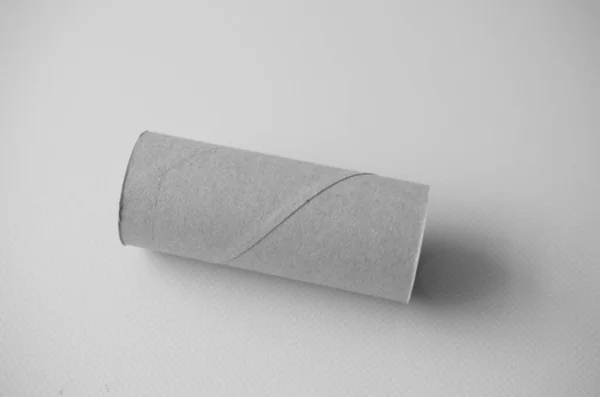 Een Lege Rol Toiletpapier — Stockfoto