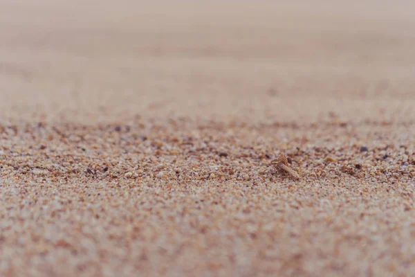 Brown sand texture background from fine sand with natural line wave. — Stock Photo, Image