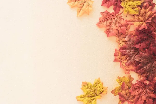 Sarı pastel renkte sonbahar akçaağaç yaprağının üst görünümü klasik tarz ton soyut arkaplan.