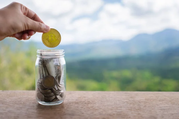 Hand Släppa Guld Bitcoin Burken Full Mynt Och Sedlar Innebörden — Stockfoto