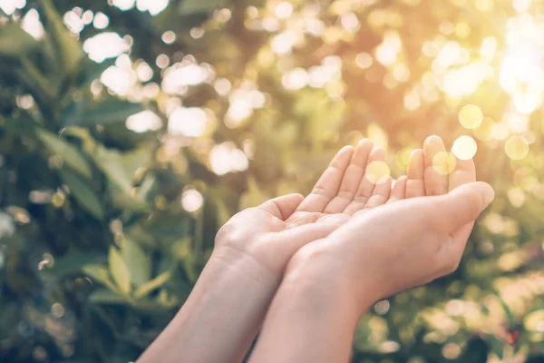 Руки Жінки Розміщуються Разом Молитва Перед Природою Зелений Фон Боке — стокове фото