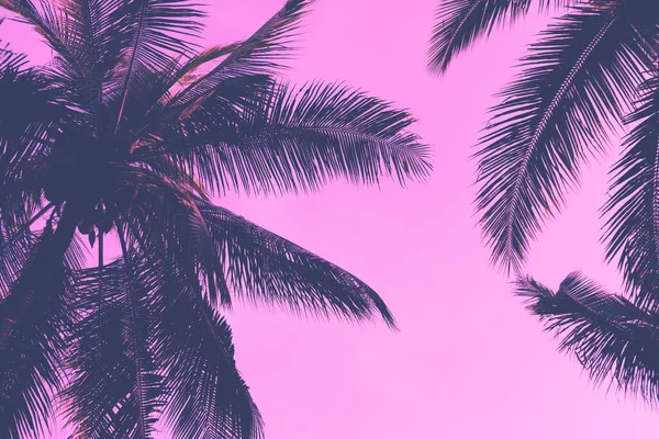 Tropische Palmkokosbomen Zonsondergang Hemel Flare Bokeh Natuur Achtergrond — Stockfoto