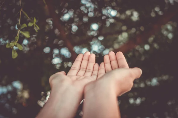 Woman Hands Place Together Praying Front Nature Green Bokeh Background — Stock Photo, Image