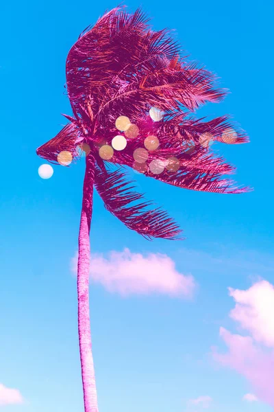 Palmeira Tropical Pôr Sol Céu Chama Bokeh Natureza Fundo — Fotografia de Stock