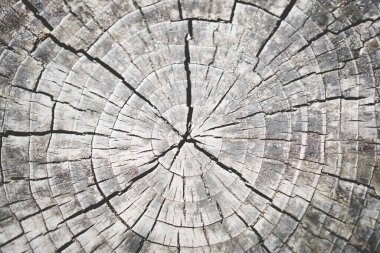 Soyut eski grunge ahşap dokusu boş arkaplan.