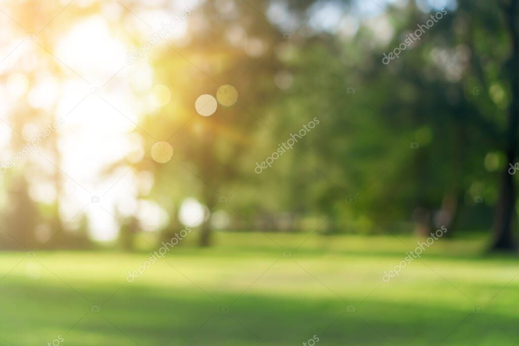 Blur nature bokeh green park by beach and tropical coconut trees in sunset time.