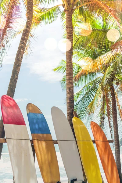 Muchas Tablas Surf Junto Cocoteros Playa Verano Con Luz Solar —  Fotos de Stock