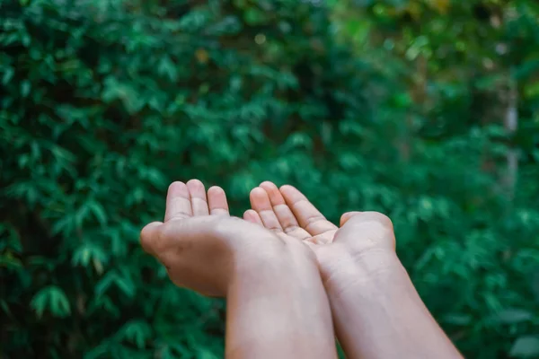 Mulher Mãos Lugar Juntos Como Orando Frente Natureza Bokeh Verde — Fotografia de Stock