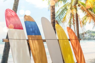 Yaz plajında hindistan cevizi ağaçlarının yanında sörf tahtaları var. Güneş ışığı ve mavi gökyüzü arka planı var..