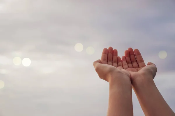 Kadın Elleri Doğanın Önünde Dua Eder Gibi Bir Araya Gelir — Stok fotoğraf