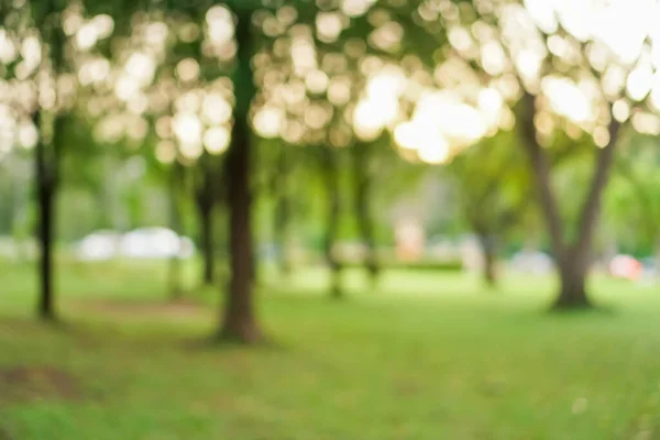 Bulanık doğa, kumsalda yeşil park ve gün batımında tropikal hindistan cevizi ağaçları..